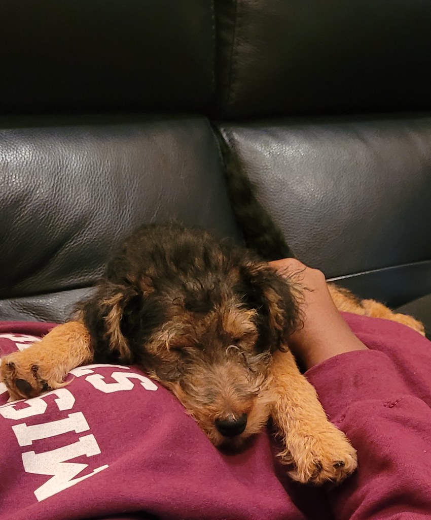 summer hamlin glover 11.6.22 Kissing Rock Kennel Flickr