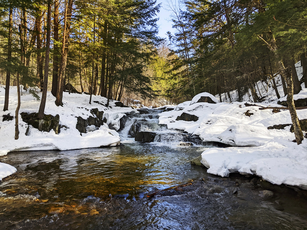 Great Brook Phone photo rachel.roze Flickr