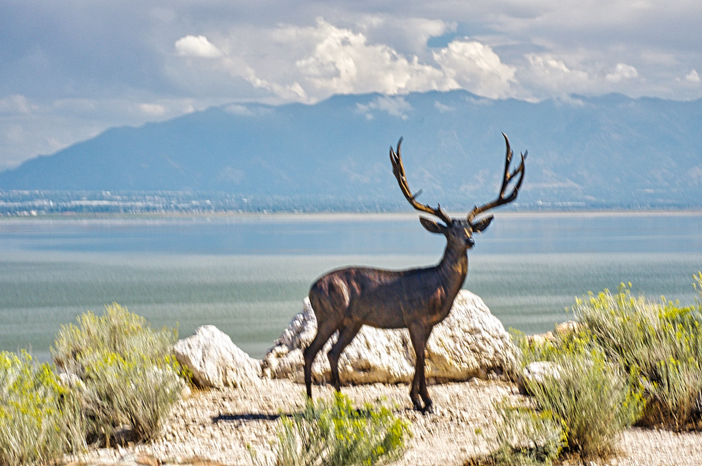 Mule Deer statue at Antelope Island State Park, Great Salt… Flickr