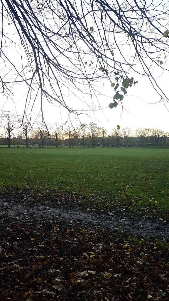 The Churned Path Lloyd Park, Walthamstow B Flickr
