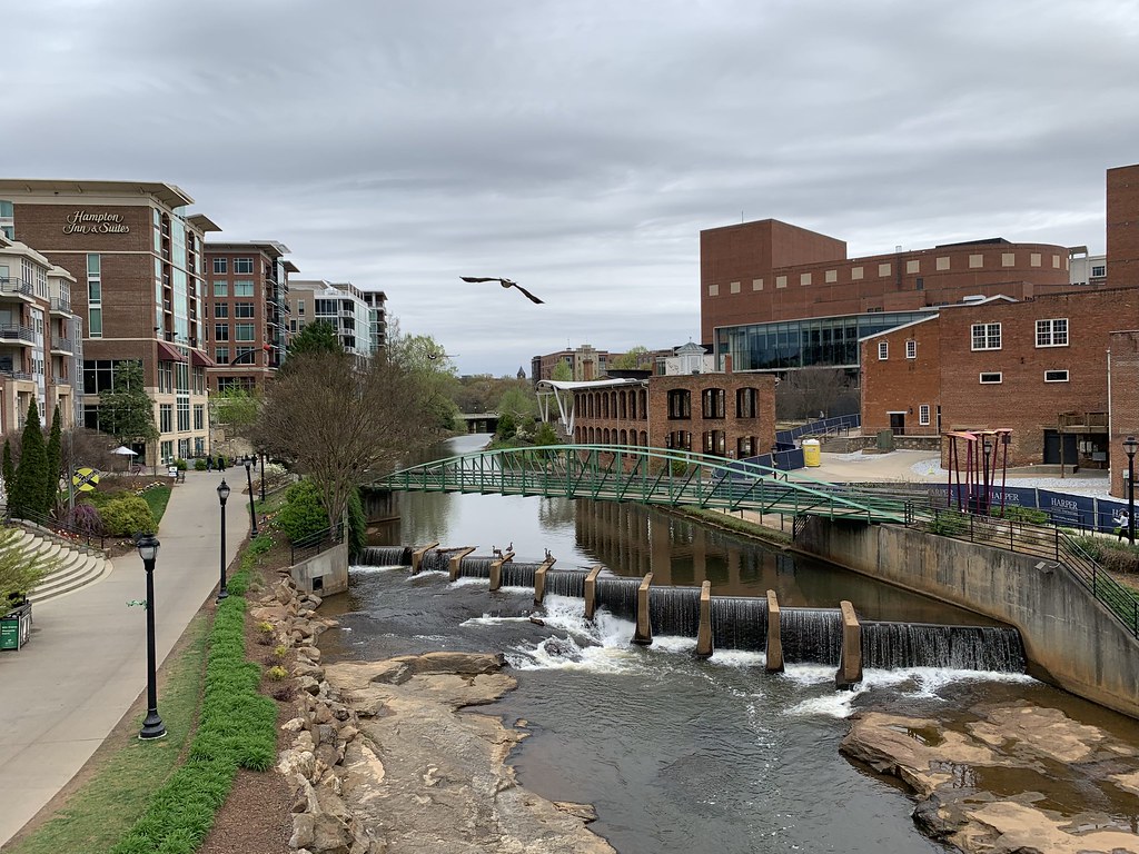 Falls Park, Greenville, SC Canadian goose J. Harless Flickr