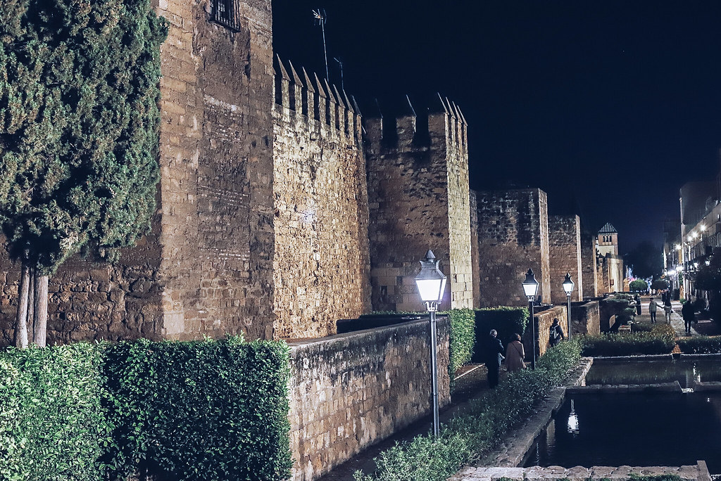 PSX_20230312_065305 Blanca Carmona Flickr