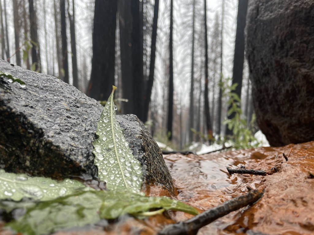 80. Burned stream Description A temporary stream flows th… Flickr