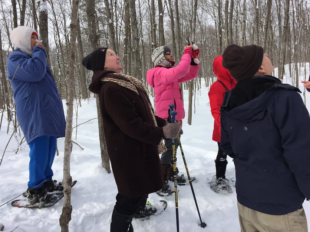 Snowshoe in Gatineau Park CCI Ottawa Flickr