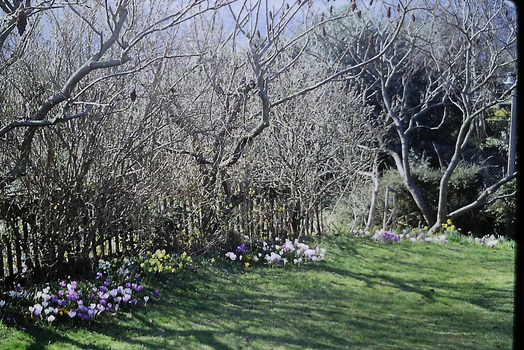 PICT0112 1972 Rightaway Buckland Road Newton Abbot Jeff Collman