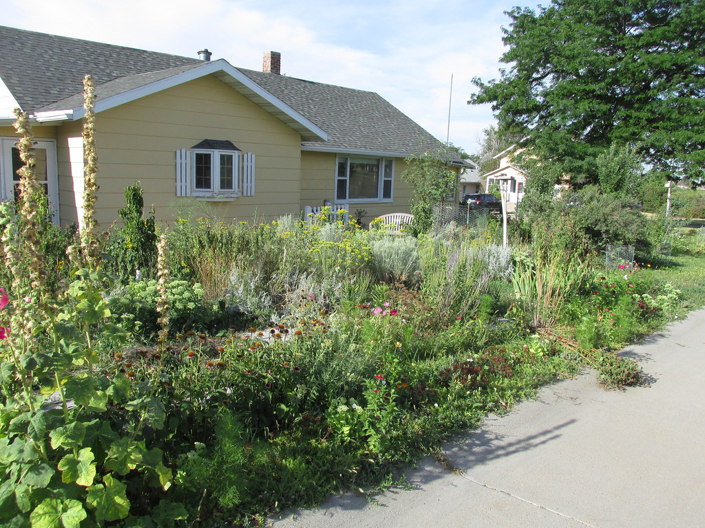 Gardens Gardens, photographed in my yard in Chadron, Nebra… Flickr