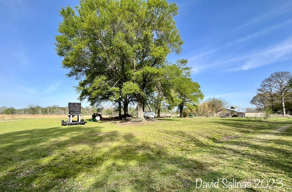 The Farm Barb and I decided we’d take about 9 or 10 days a… Flickr