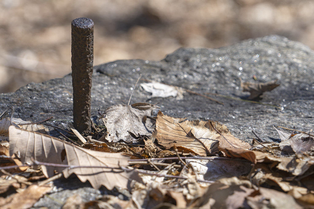Old Surveying Bolt?, Inwood Hill Park Ben Hagen Flickr