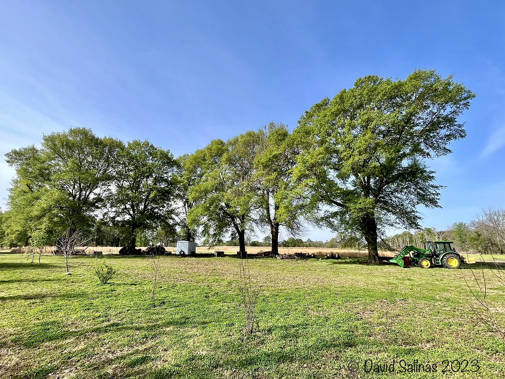 The Farm Barb and I decided we’d take about 9 or 10 days a… Flickr