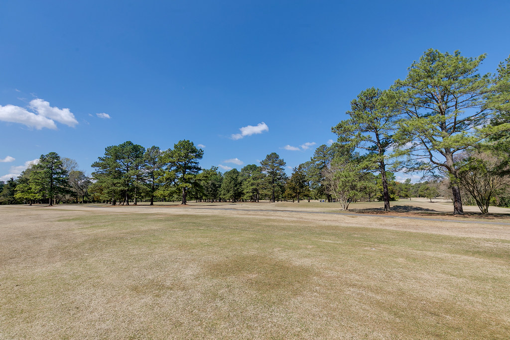 3900 Cogbill Road76 Mindie Ballard Flickr