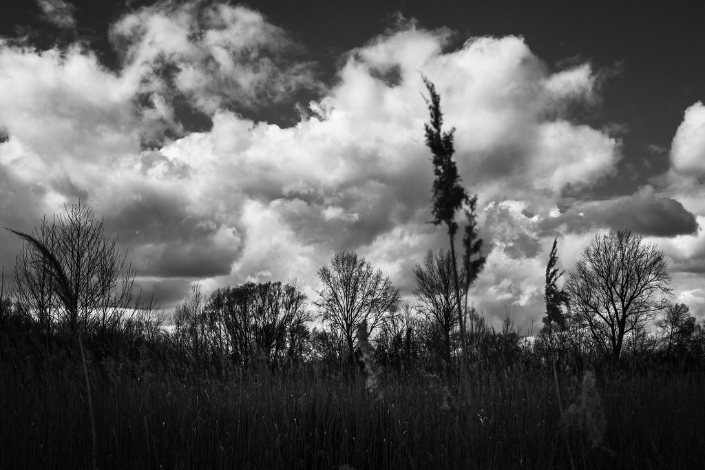 Cloudscape Gotan Da Flickr