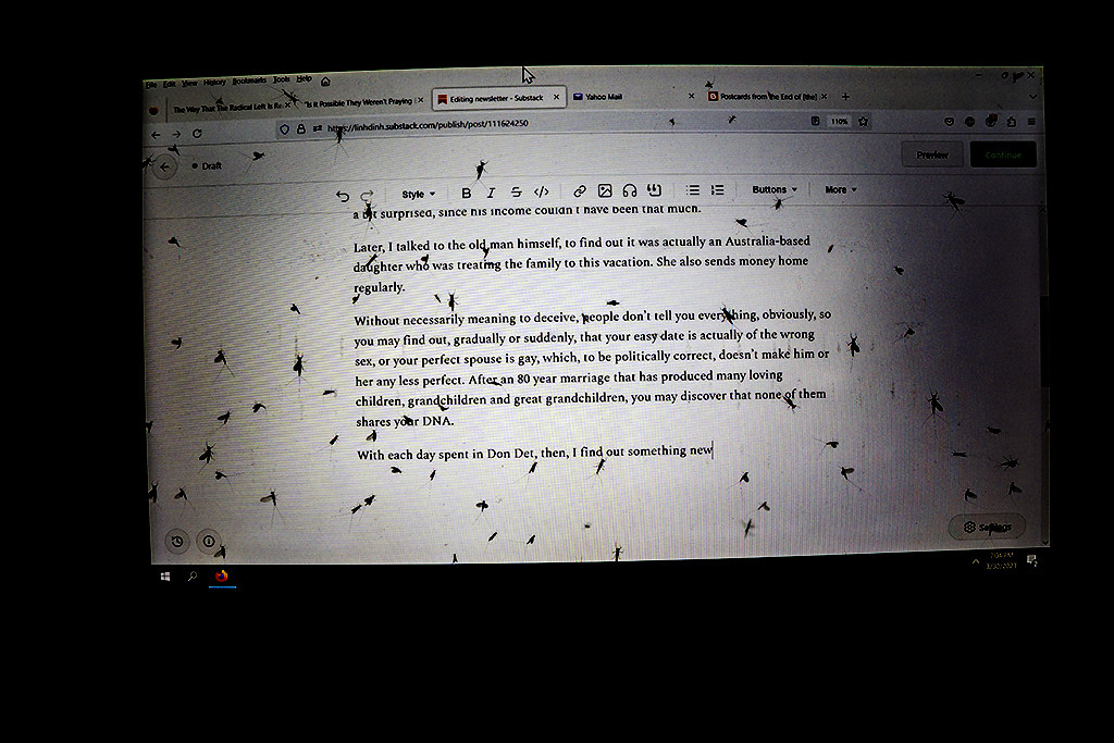 Insects on laptop screen on 33023Don Det copy Linh Dinh Flickr