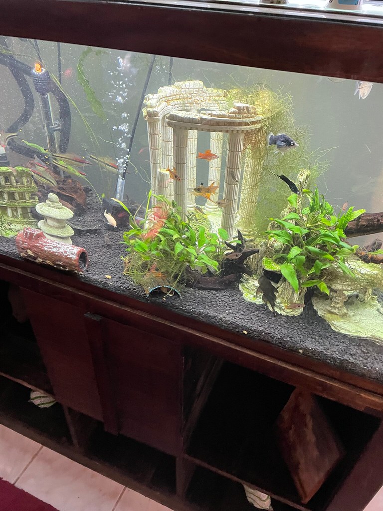 img_4635 Stony Point. New York. The greenery on the outski… Flickr