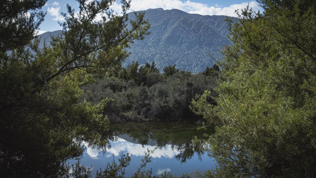 DSC06498.tif Mirror Ponds , NZ Larry Frasier Flickr