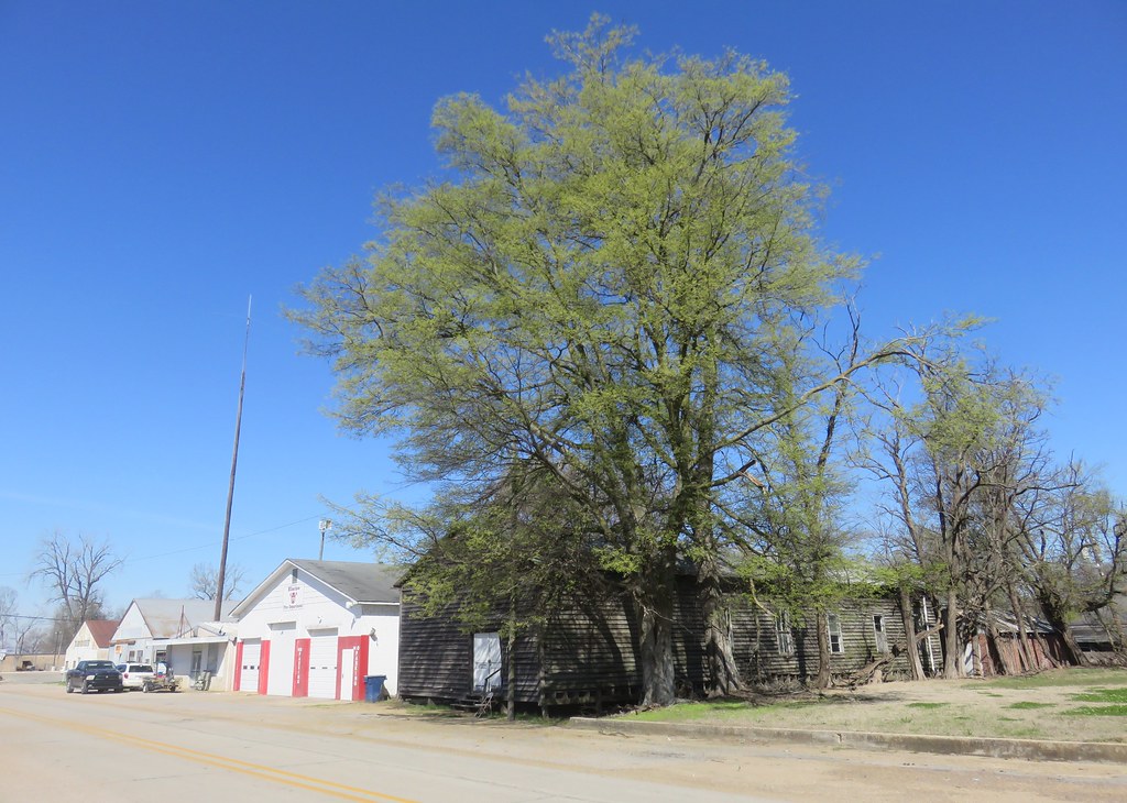 Downtown Elaine, Arkansas Elaine, Arkansas is a small Delt… Flickr