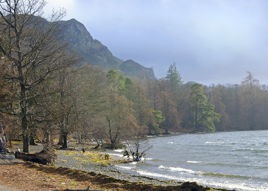 Derwentwater. Passing Great Wood. Where the larch, oak and… Flickr