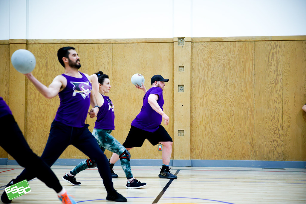 ESSC Dodgeball & Basketball Edmonton Sports Club Flickr