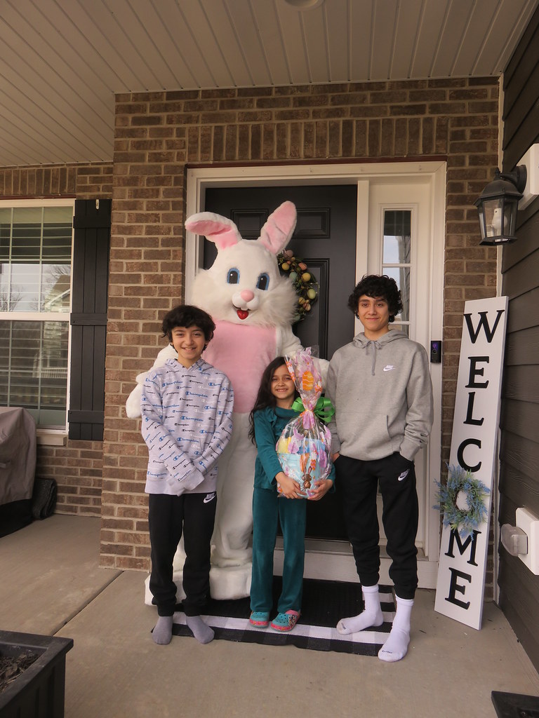 IMG_4788 Lemont Park District Flickr