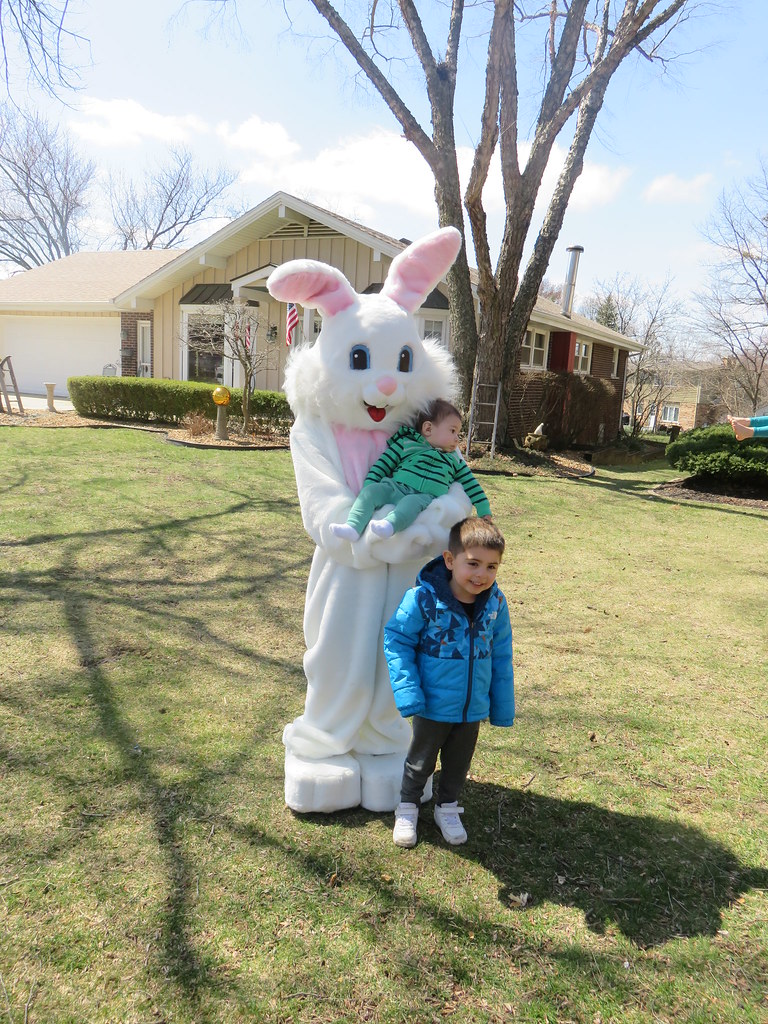 IMG_4872 Lemont Park District Flickr