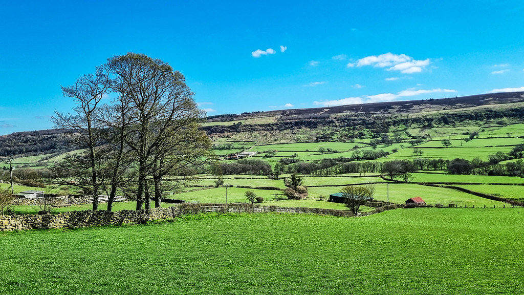 Glaisdale Copse of Trees This is a view across the dale … Flickr