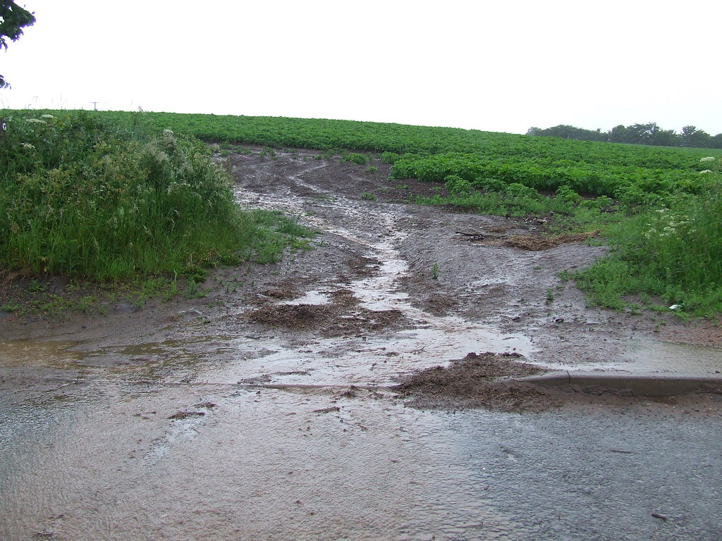 Water running out of a field at Dalgairn, Cupar This water… Flickr