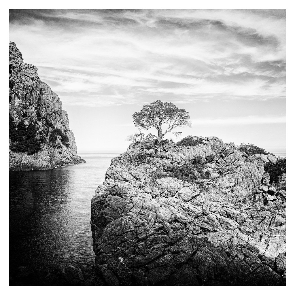 So Lonely Sa Calobra, Mallorca, Spain Bernd Schunack Flickr