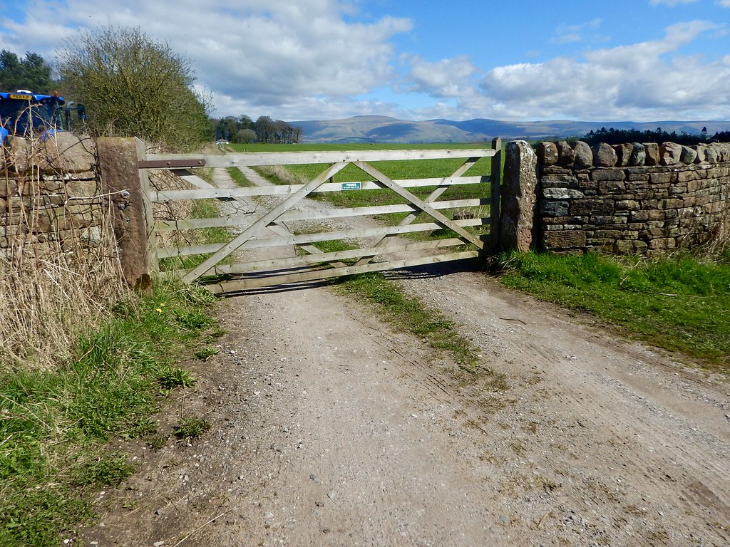 Cut Mark Gatepost, Greatwood Cottage, Edenhall a Douglas Law Flickr