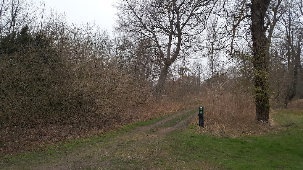 Chippenham Fen 05/04/23 Chippenham Fen East Cambridges… Ben