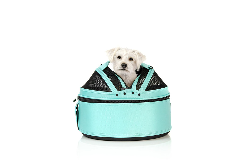 Sleepypod mobile pet bed color Robin Egg Blue Flickr