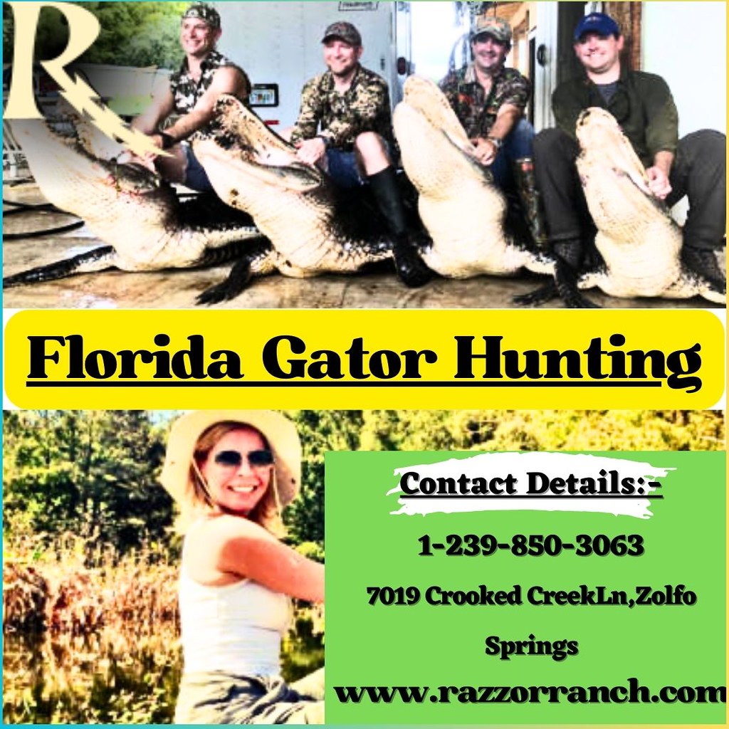 Experience the Most Memorable Florida Gator Hunting Flickr
