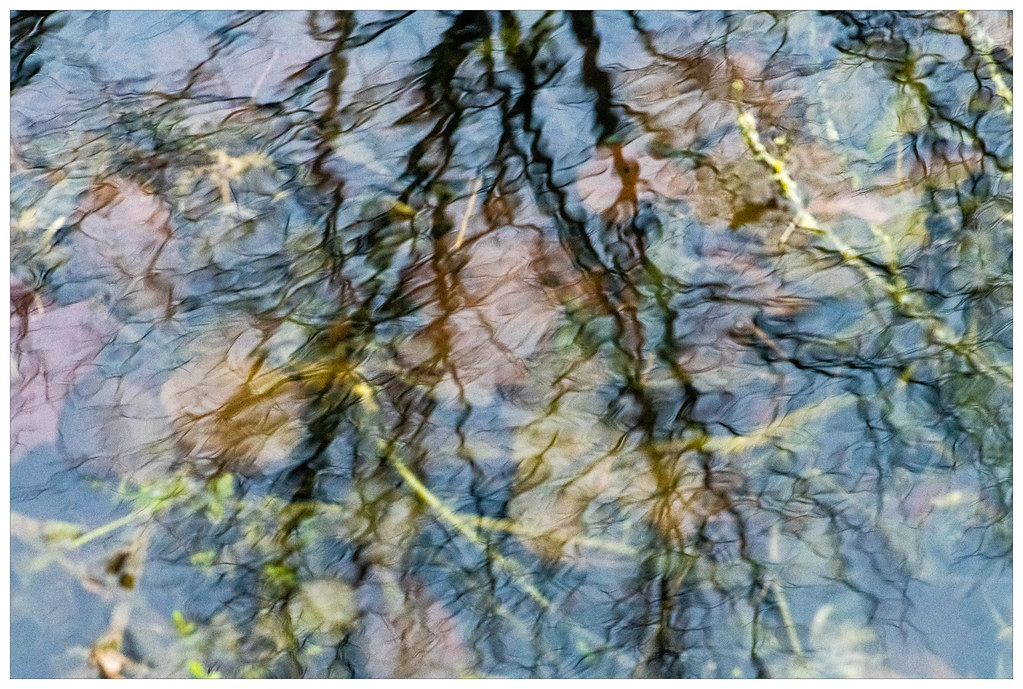 Reflets sur flaque d'eau Reflections on puddle Une légèr… Flickr