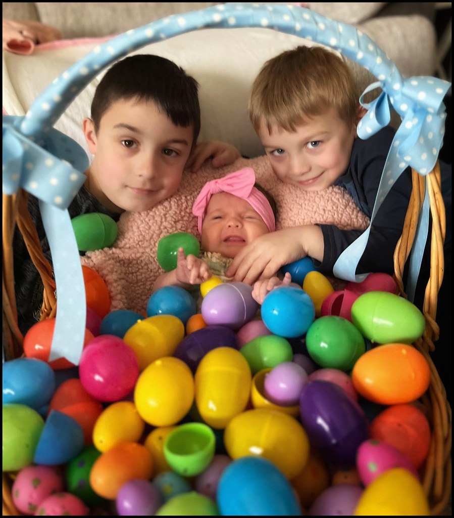 Our Basket Of Joy... Explore 4/9/2023 Wishing everyone a j… Flickr