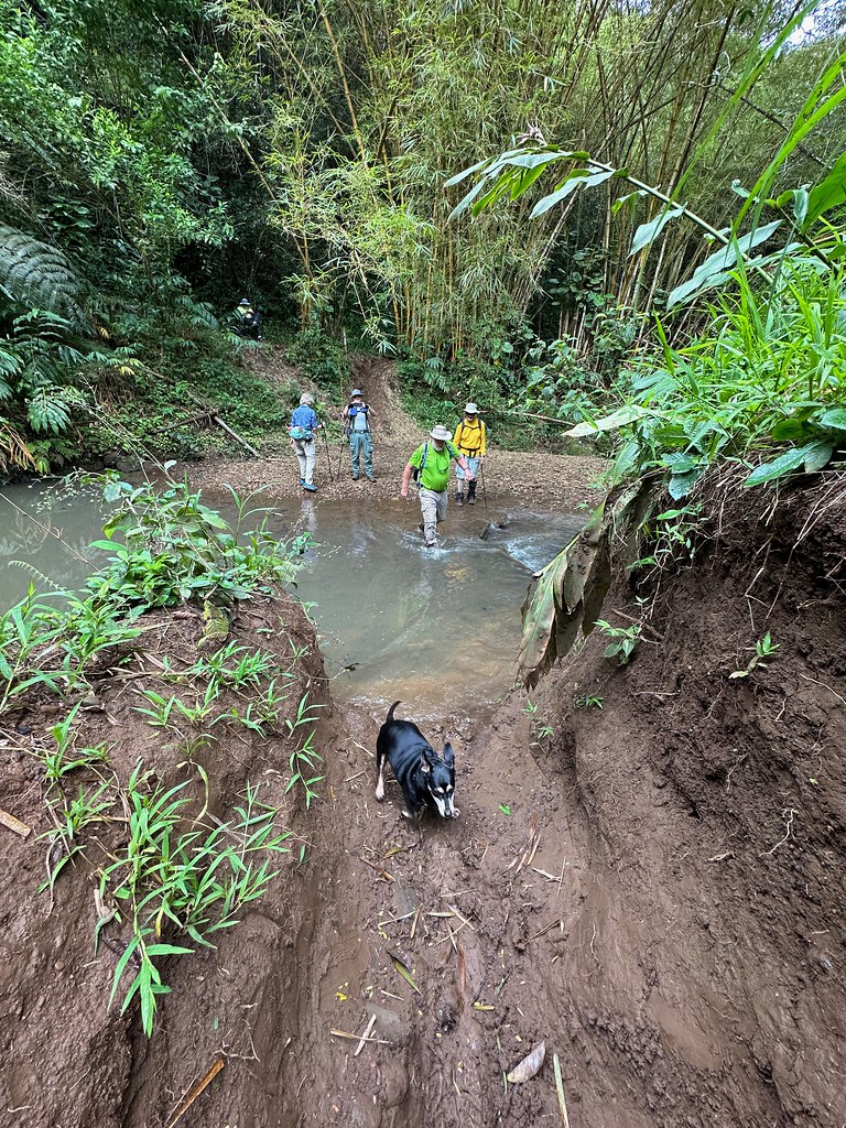 Waikakalaua Gulch/Ridge loop Mililani Mauka 4.5.23 Flickr