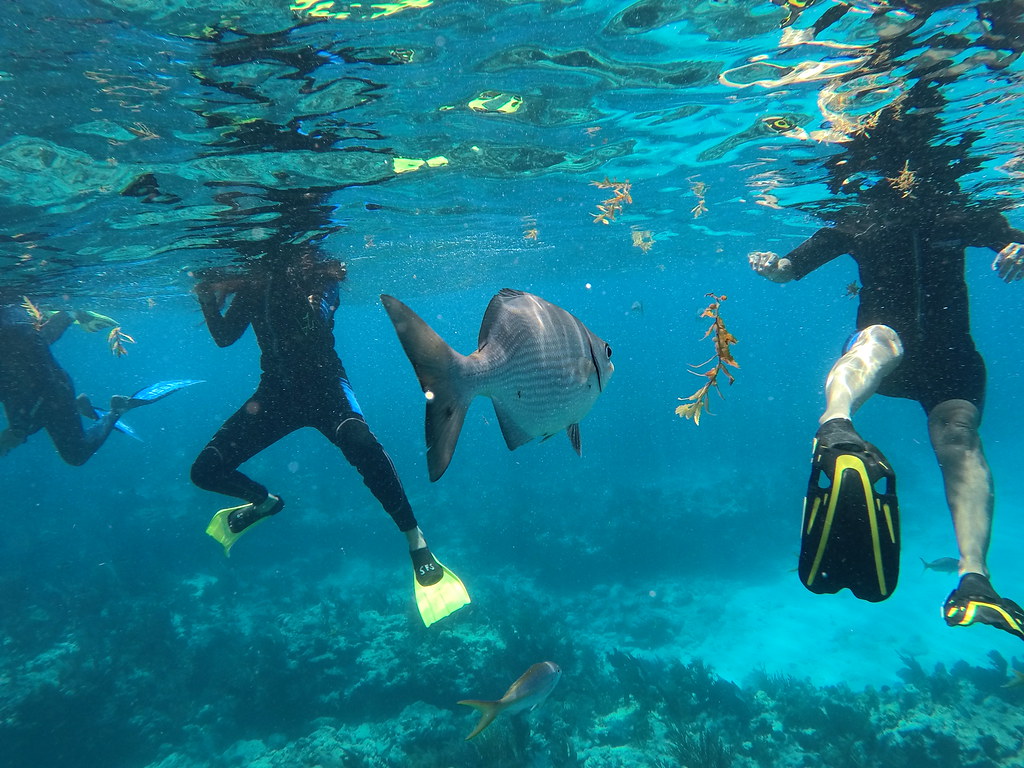 Snorkel Tour Key Largo (77) DCIM\101GOPRO\GOPR1844.JPG Flickr