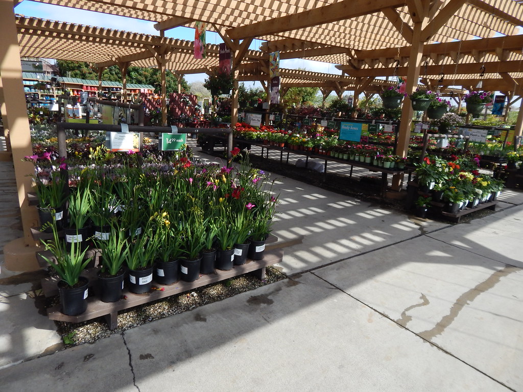 Armstrong Garden Center, Torrance Saturday James Fujita Flickr