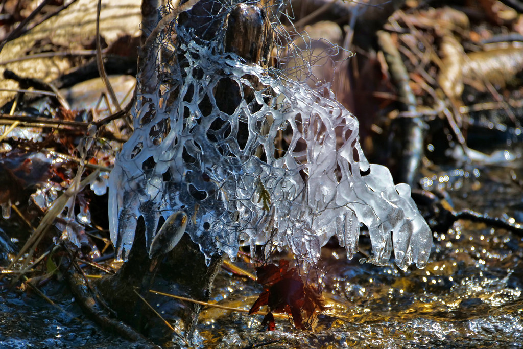 Spring Ice Formation Eramosa River Lumix G9 Leica 1004… Flickr