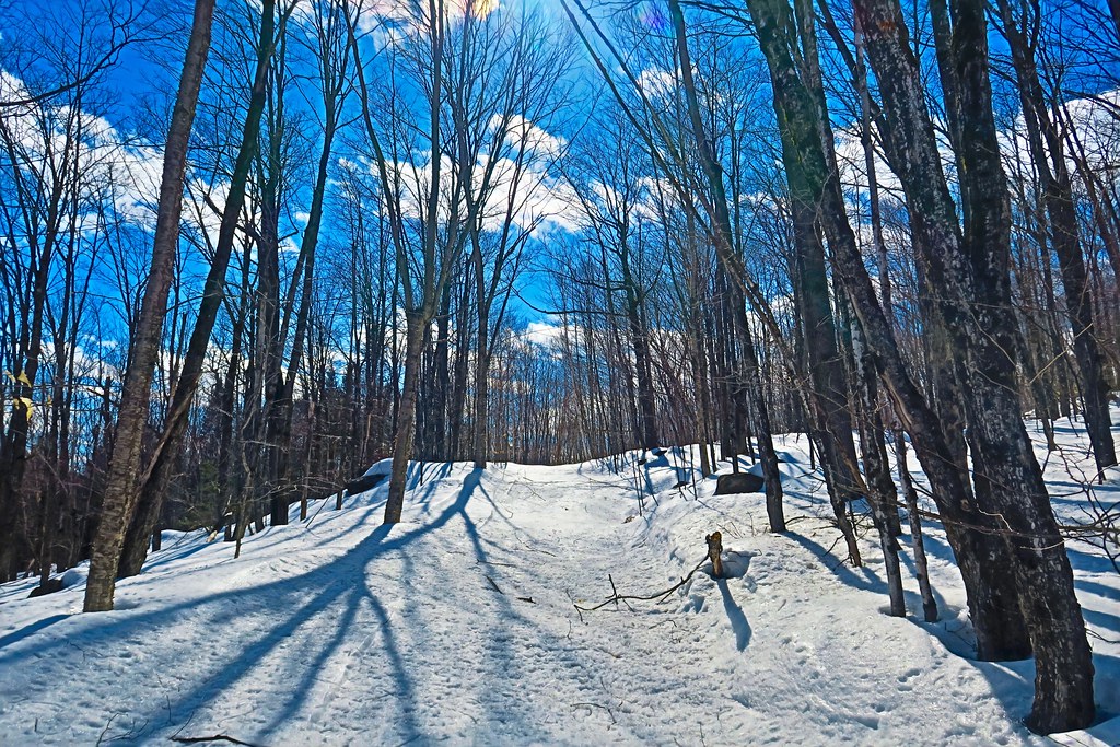 Snow up shore near Lake Louisa, near Cottage Quebec. Flickr