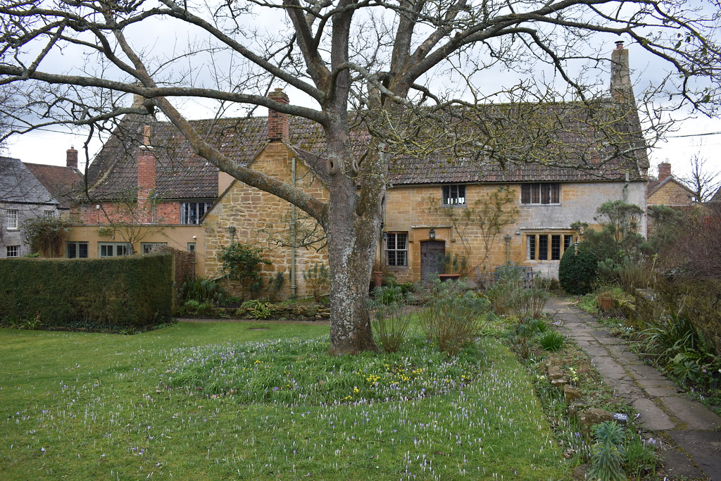 Snowdrops East Lambrook Manor Gardens, South Petherton. Sa//y Flickr