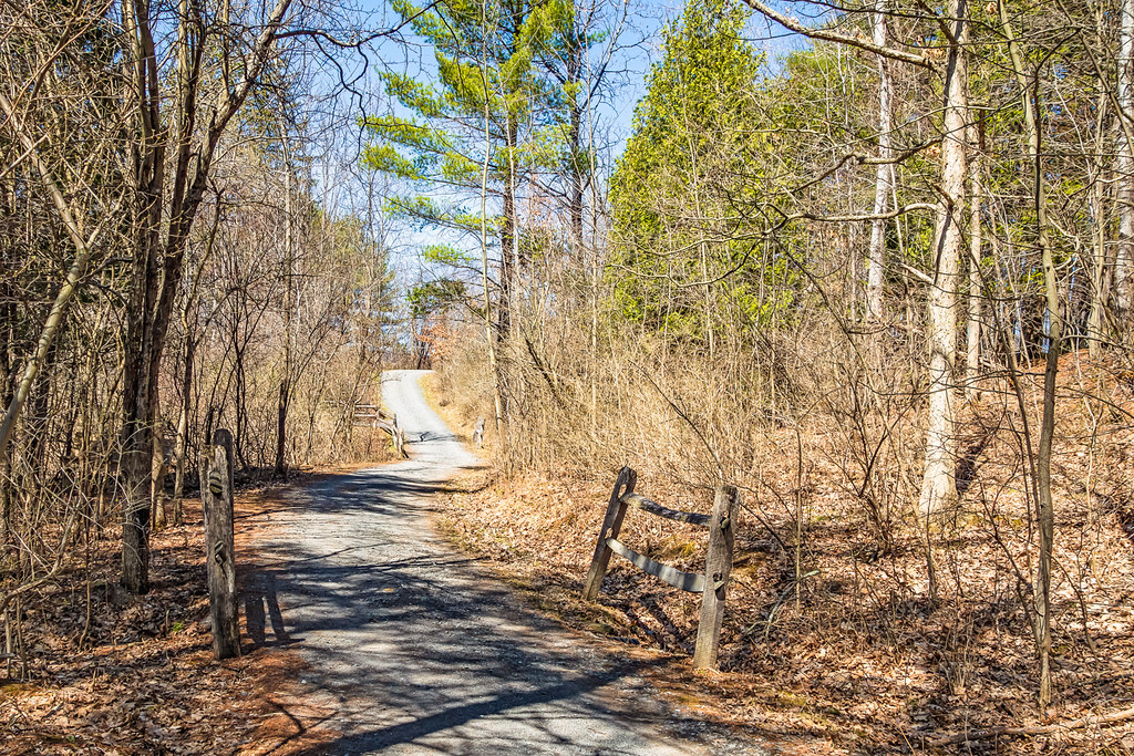 Road through the woods A narrow road running through woods… Flickr
