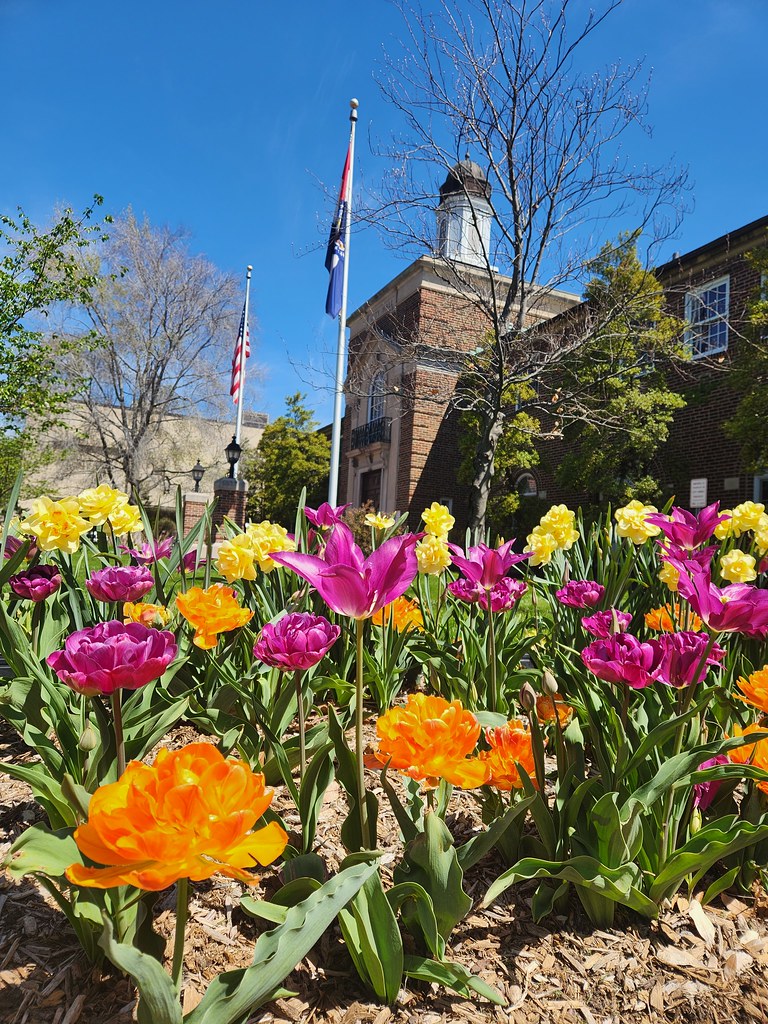 Clayton City Hall Flickr