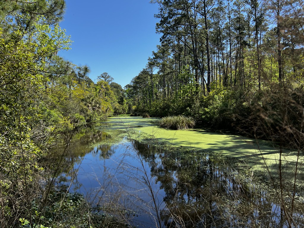 81. Exploring Sea Pines Forest Preserve, Hiilton Head Isla… Flickr
