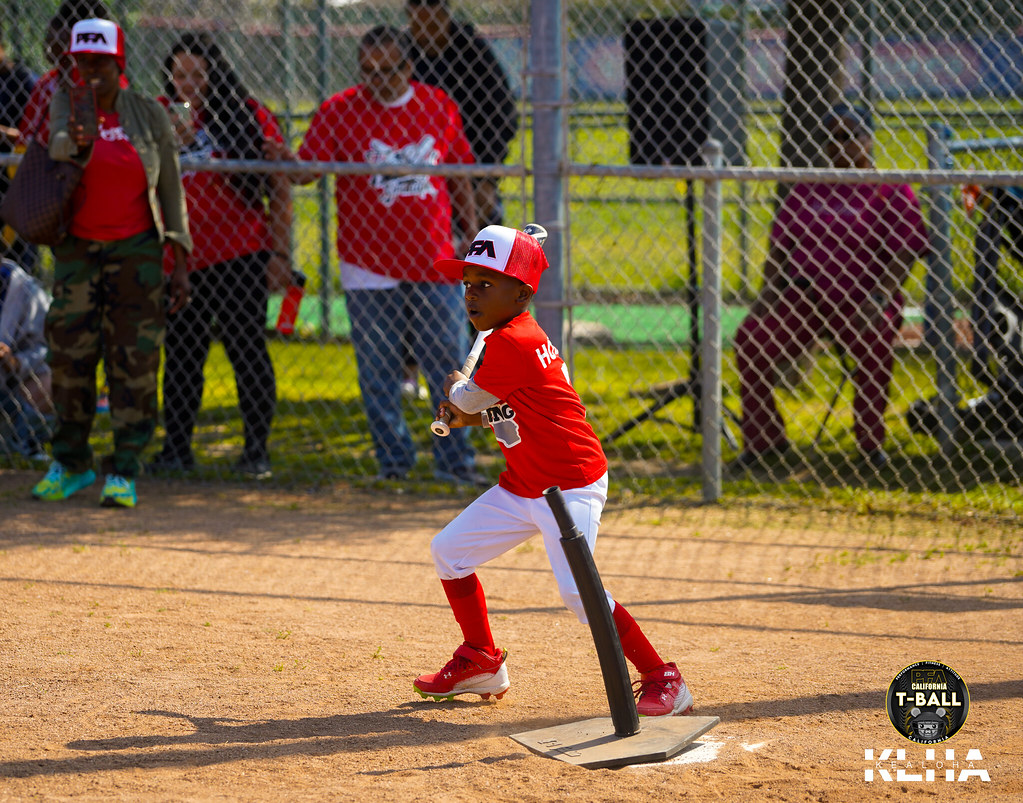 DSC01792 Diamond Baseball Flickr
