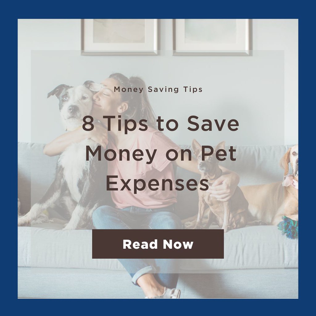 Blog Post 8 Tips to Save Money on Pet Expenses 8 Tips to… Flickr