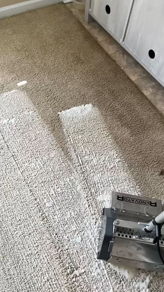 Standard Carpet Cleaning in Indianapolis IN Koala Carpet C… Flickr