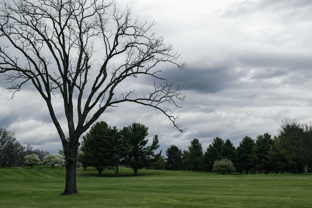 golf course Upton Lu Flickr