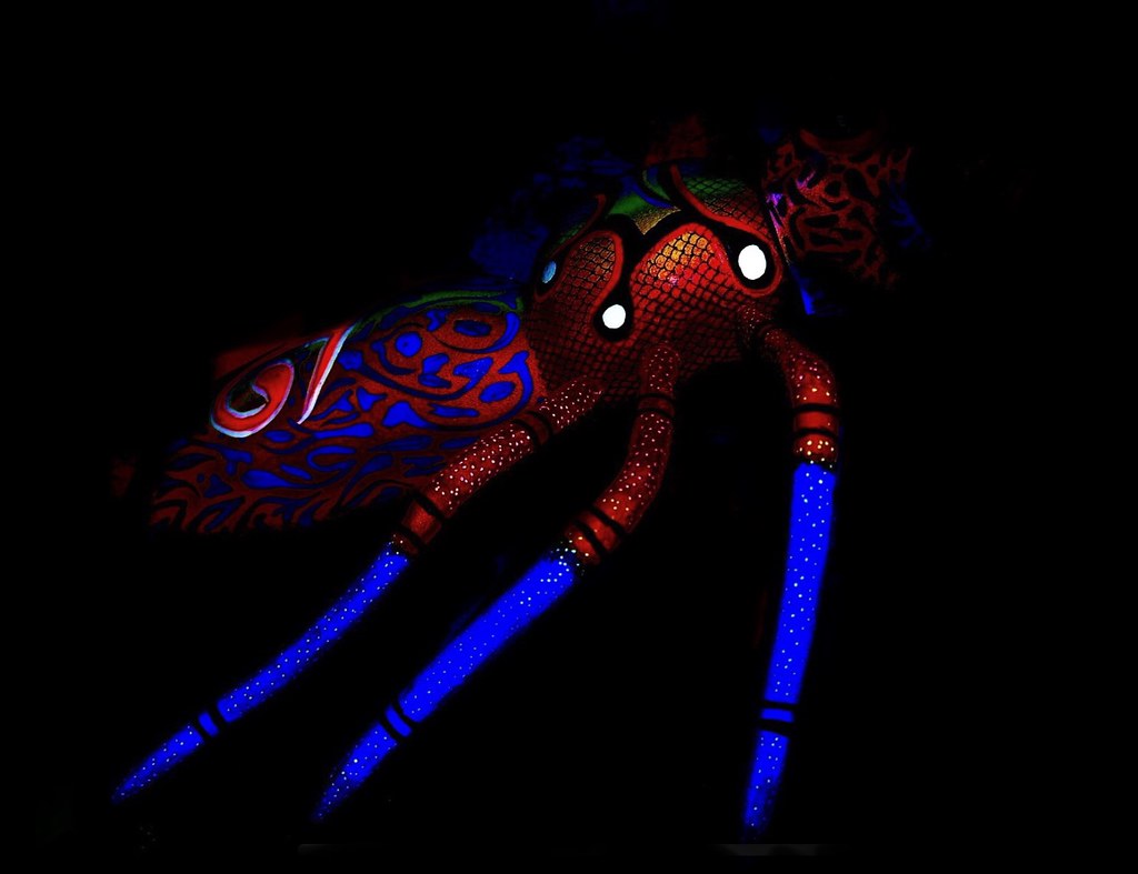 Home sweet home A Puerto Vallarta bug which had been for s… Flickr