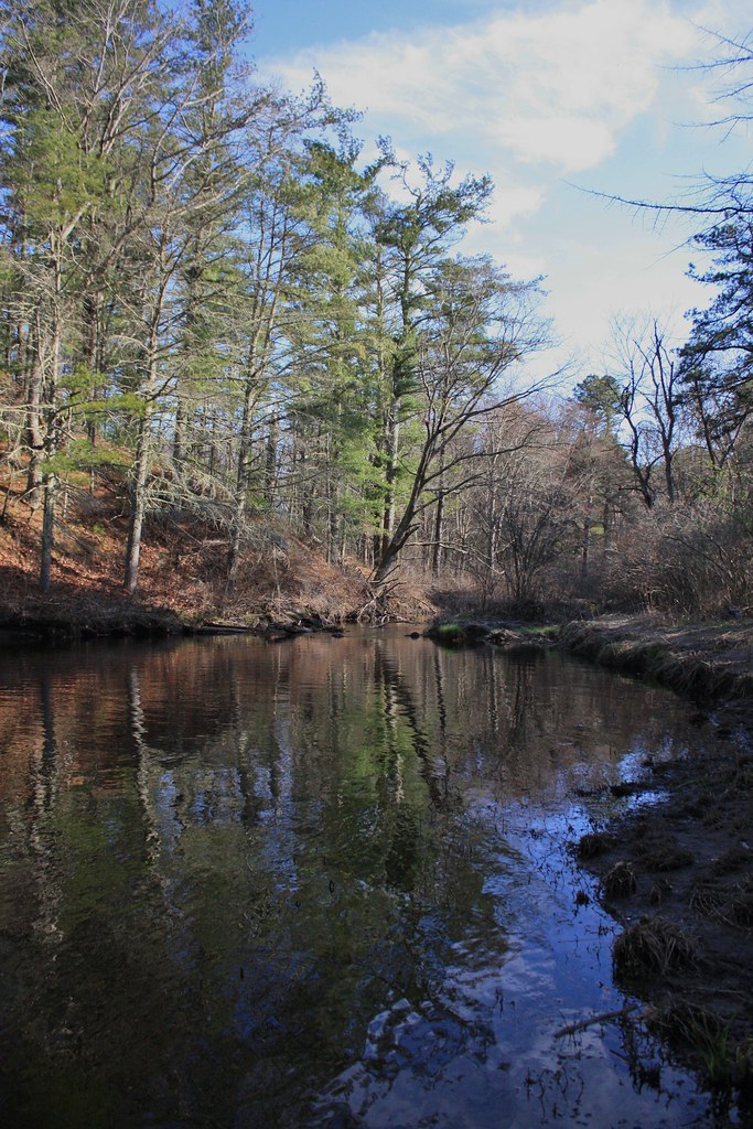 Carbuncle Pond and Moosup River Trail jennifer cummiskey Flickr