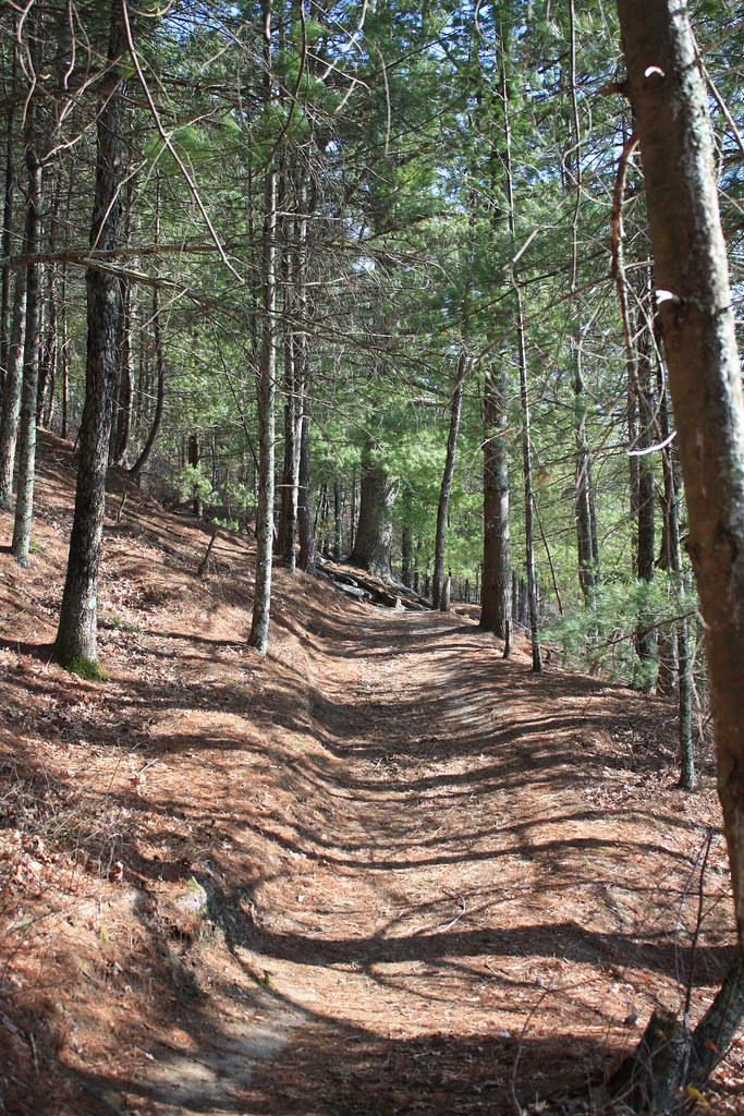 Carbuncle Pond and Moosup River Trail jennifer cummiskey Flickr