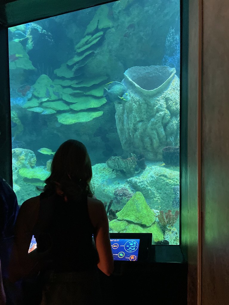 IMG_0806 New England Aquarium The New England Aquarium is … Flickr