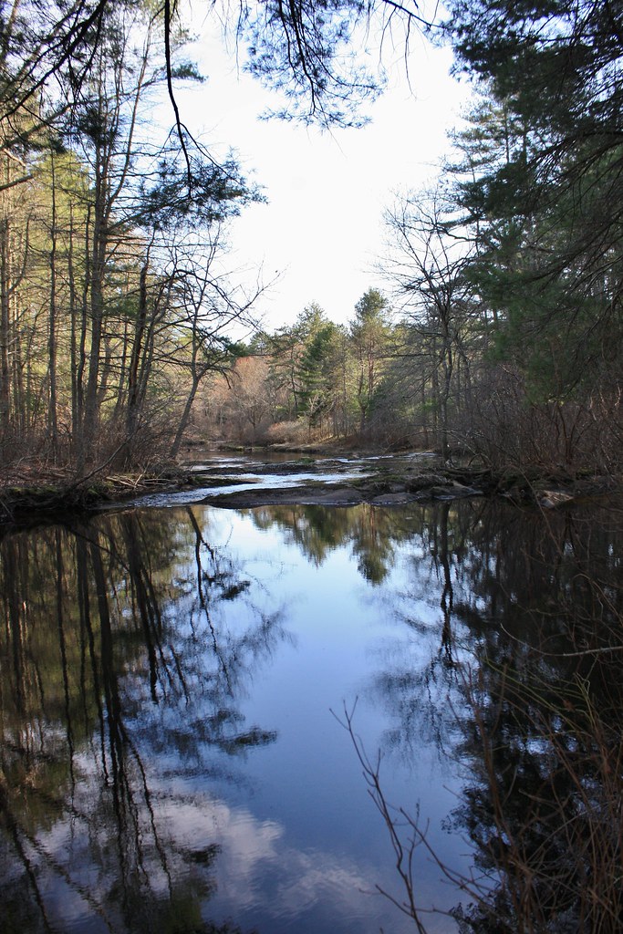 Carbuncle Pond and Moosup River Trail jennifer cummiskey Flickr
